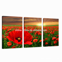 Red Flower Canvas Art/High Quality Sunrise Wall Art/Group Stretched Canvas Print